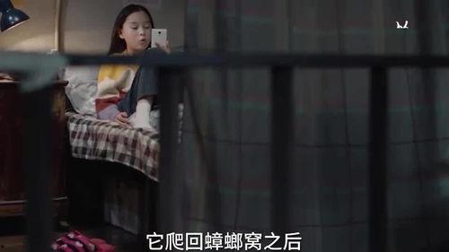 小朋友在成都爆料视频,揭秘童趣成都生活点滴  第1张